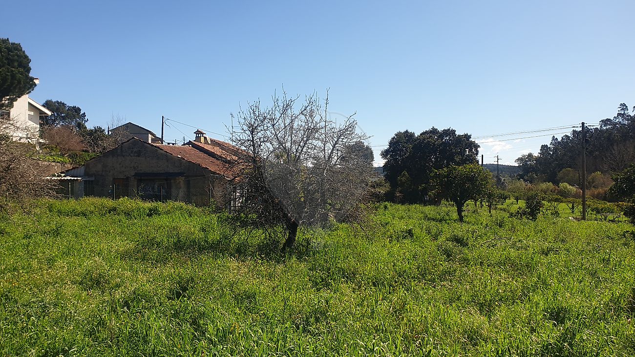 listing-picture-0