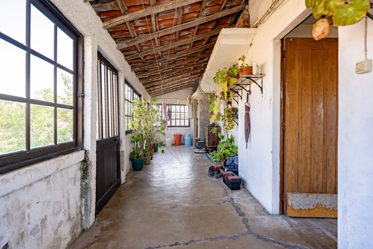 listing 124651206-3 picture-0