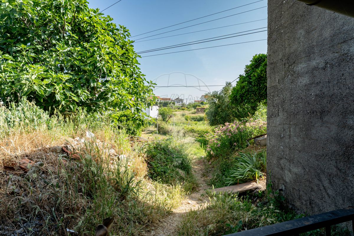listing 124651206-3 picture-0