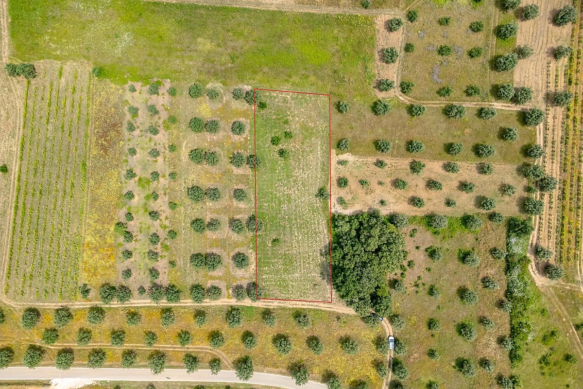 Terreno  à venda em Coimbra