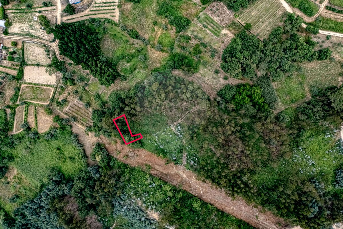 Terreno  para venda