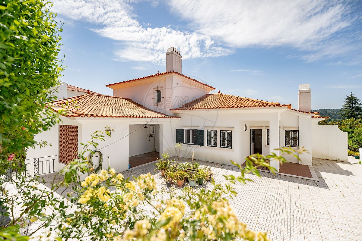 listing 124651134-75 picture-0