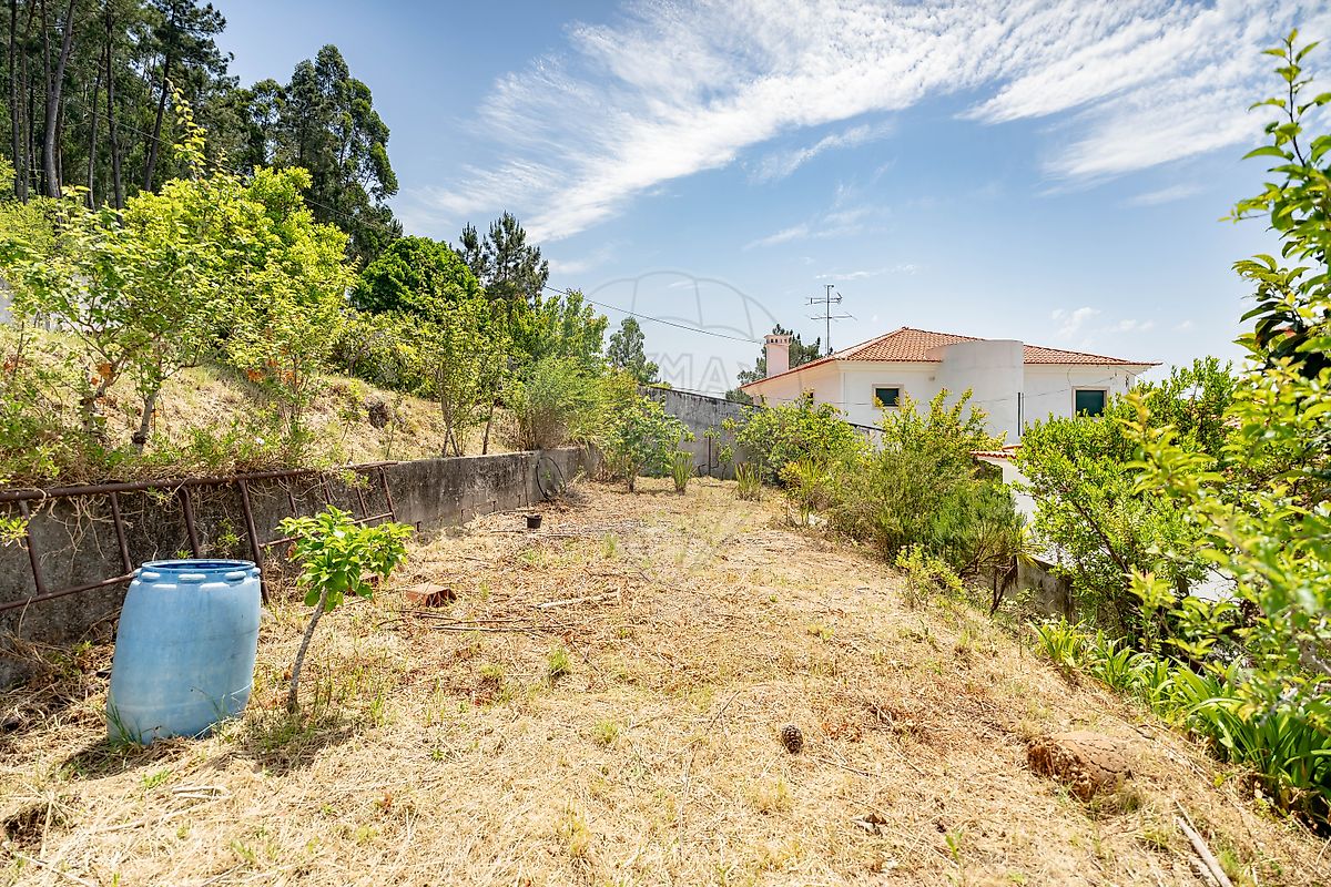 listing 124651134-75 picture-0