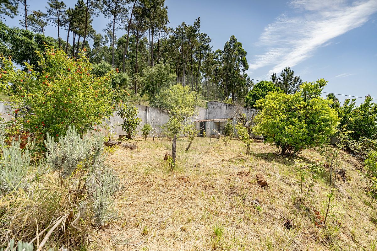 listing 124651134-75 picture-0