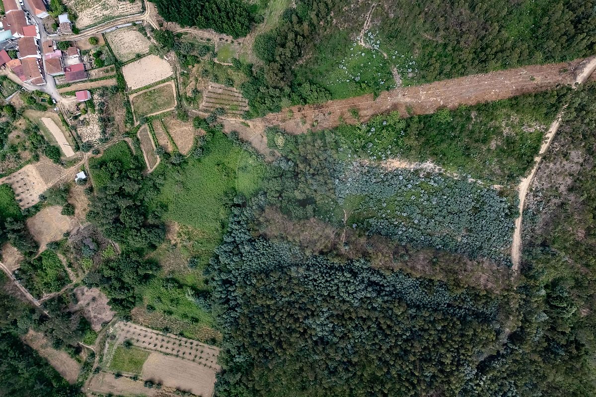 Terreno  para venda