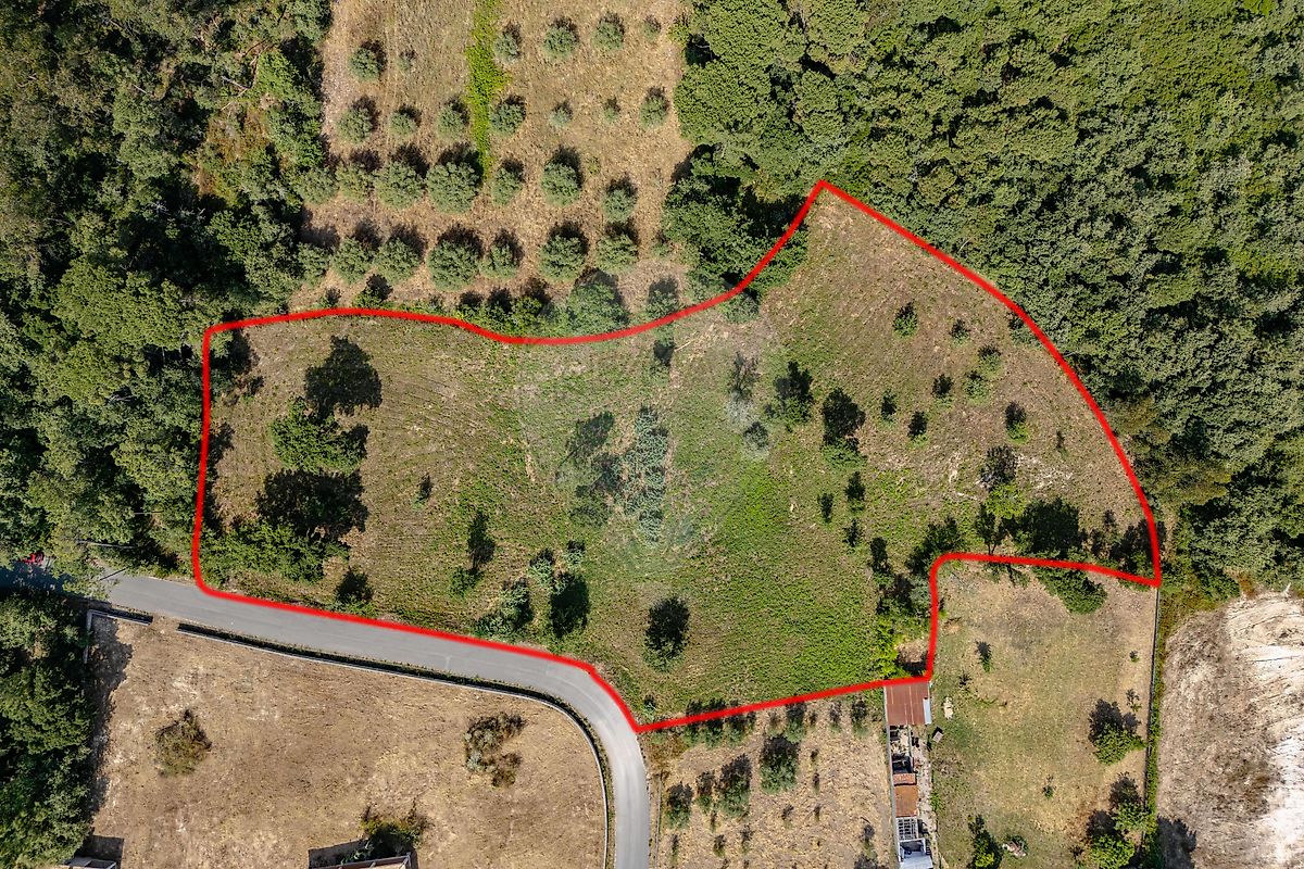 Terreno à venda em Soure