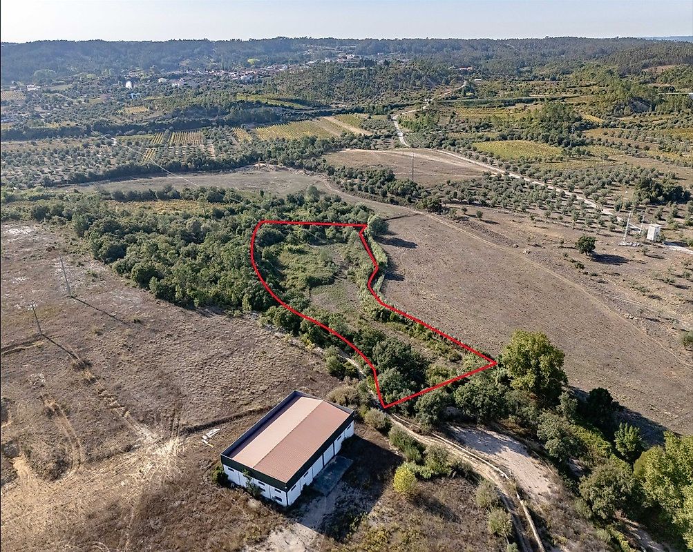Terreno à venda em Coimbra