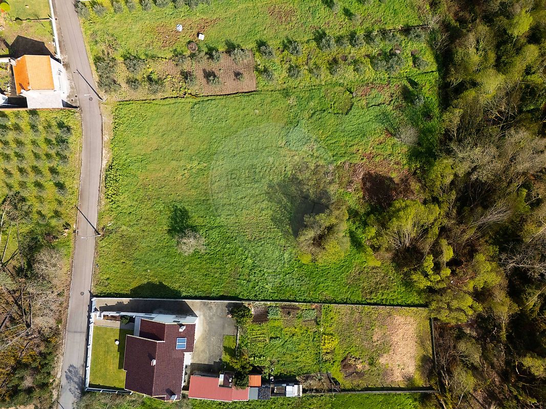 Terreno - Santiago e São Simão de Litém e Albergaria dos Doze, Pombal, Leiria