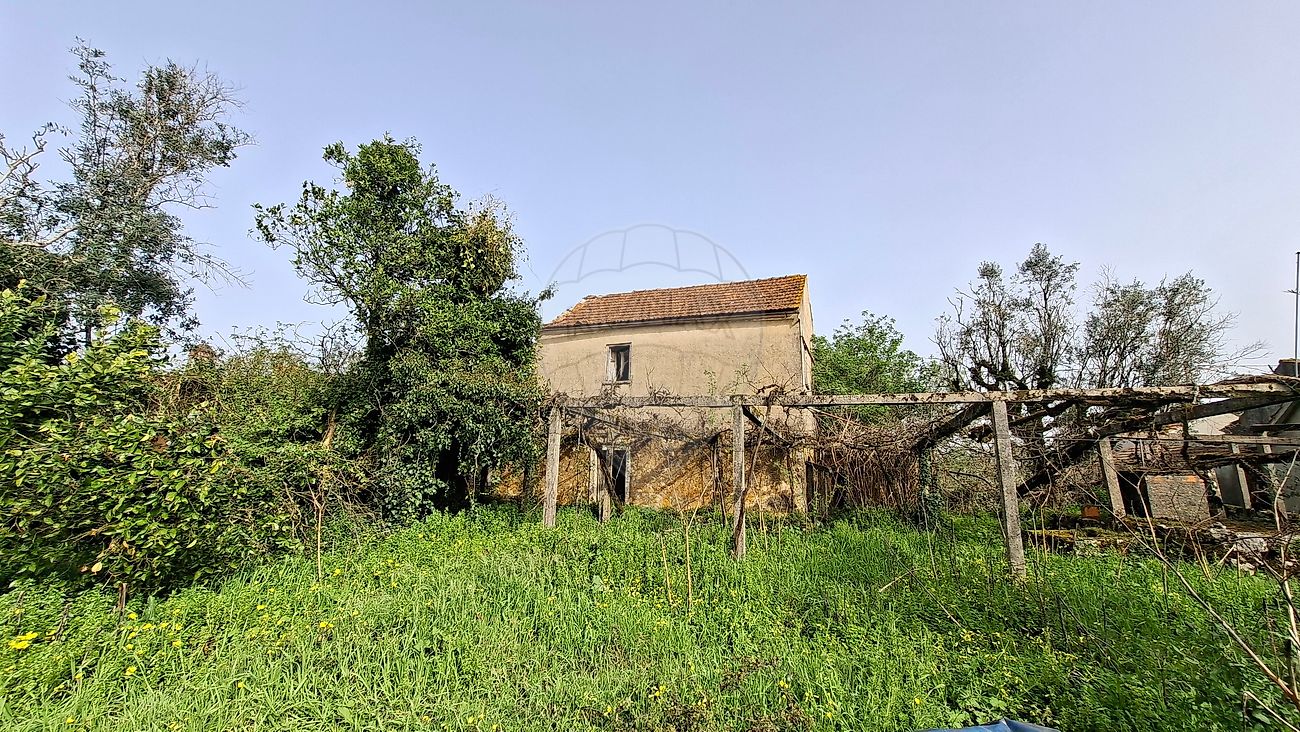 Moradia - Santiago da Guarda, Ansião, Leiria