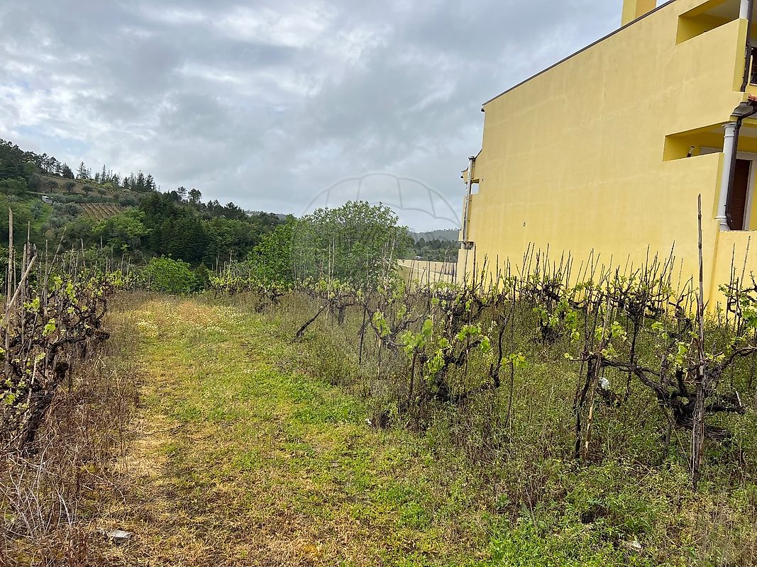 Terreno à venda em Coimbra