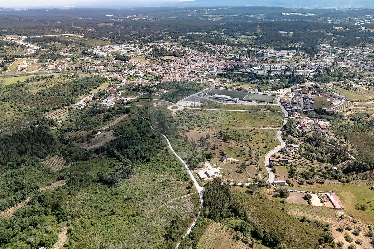 Terreno - Ançã, Cantanhede, Coimbra