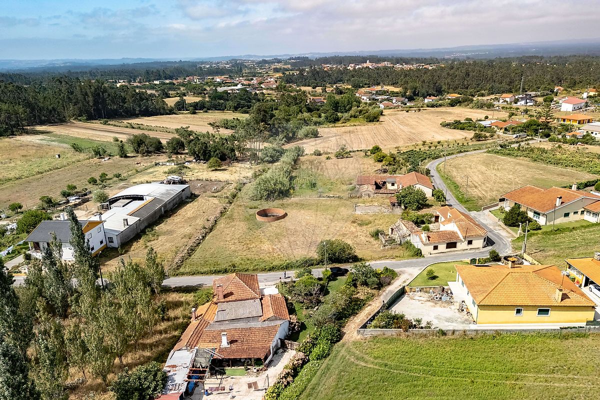 Terreno - Seixo de Gatões, Montemor-o-Velho, Coimbra