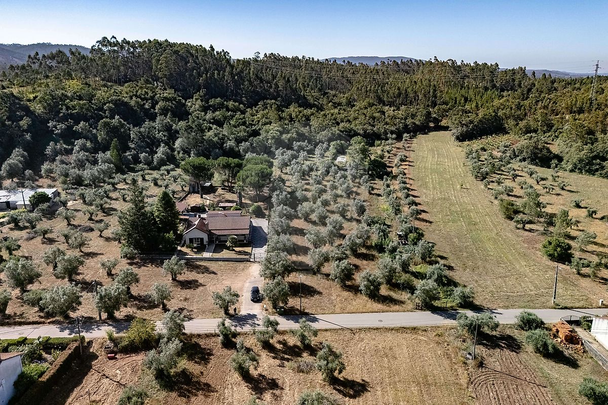 Terreno - Pampilhosa, Mealhada, Aveiro