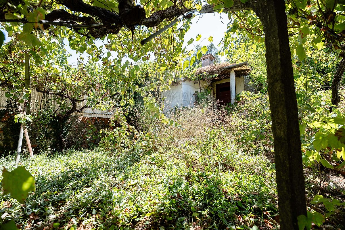 Moradia T1 à venda em Santo António dos Olivais, Coimbra — foto 14