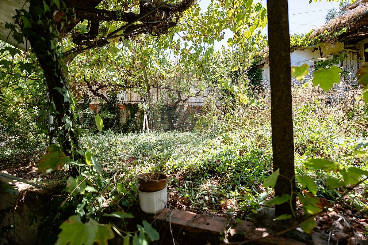 Moradia T1 à venda em Santo António dos Olivais, Coimbra — foto 12