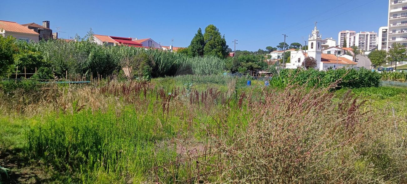 Terreno  para venda