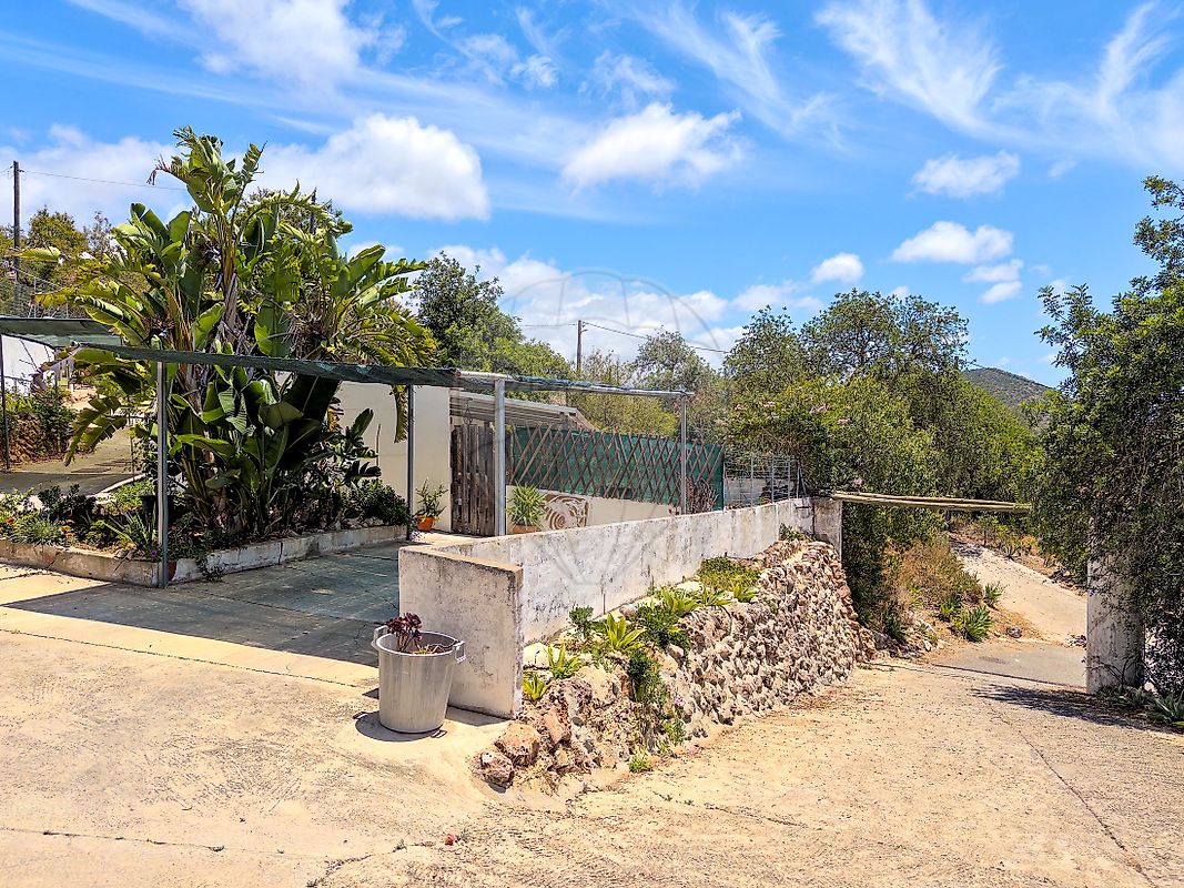 listing 124681368-5 picture-0