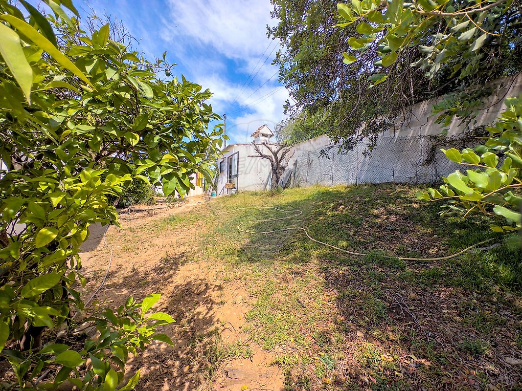 listing 124681368-5 picture-0