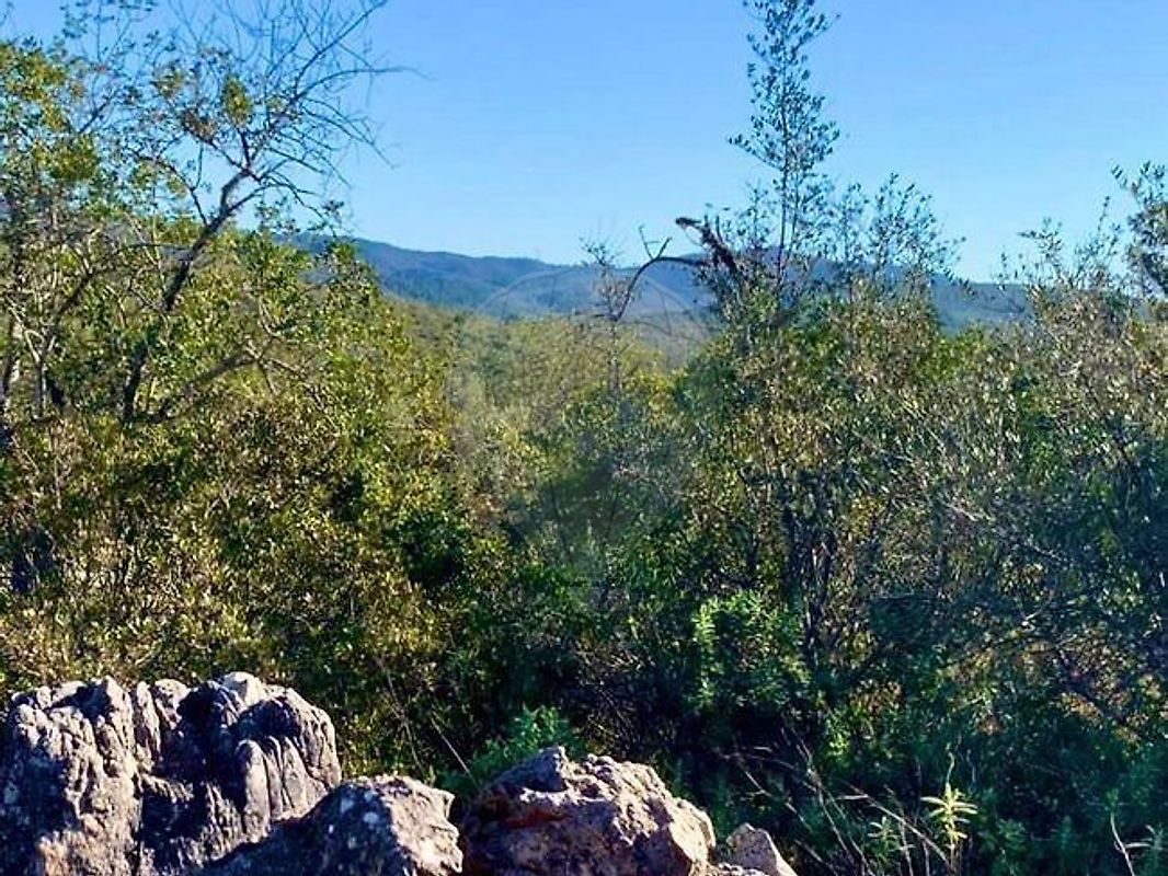 Terreno - Querença, Tôr e Benafim, Loulé, Faro