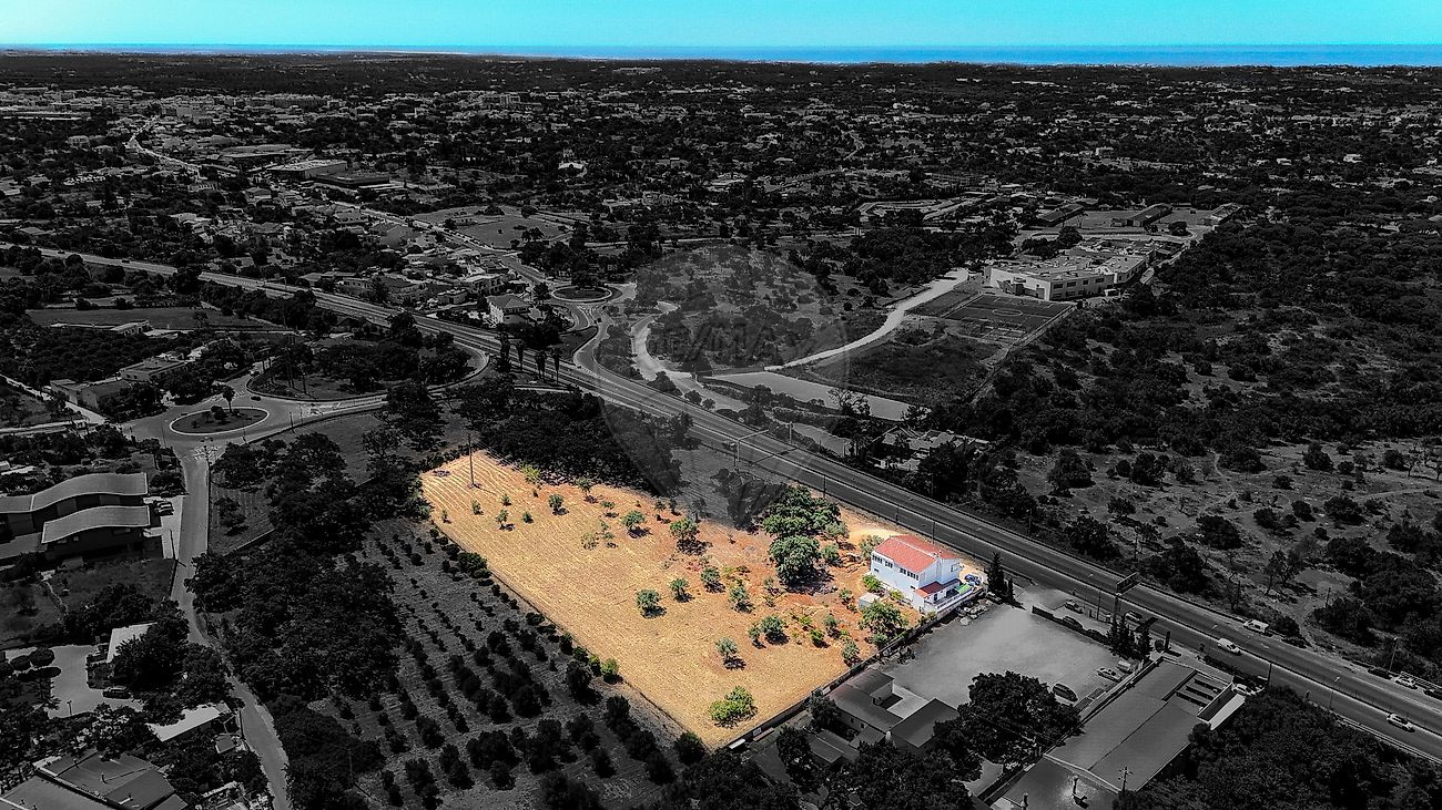 listing 124711109-6 picture-0