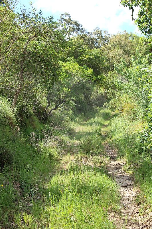 Moradia T3 à venda em Santana da Serra, Ourique — foto 27