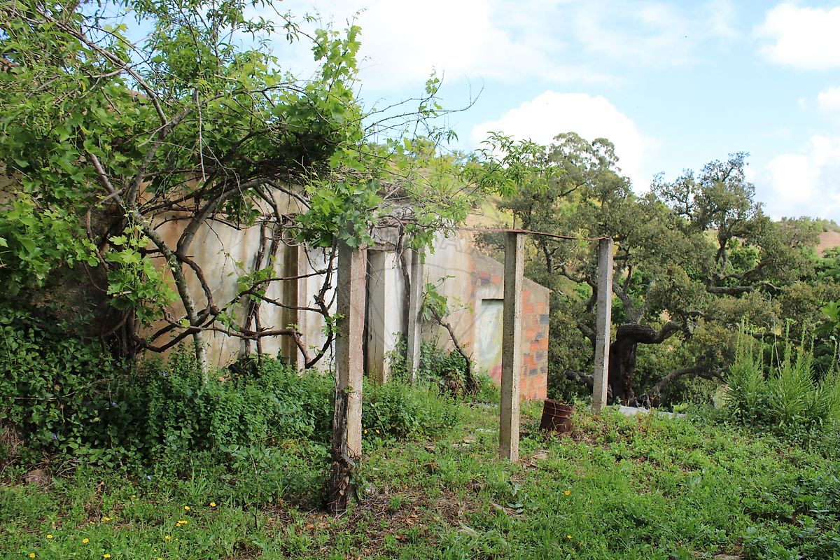 Moradia T3 à venda em Santana da Serra, Ourique — foto 14