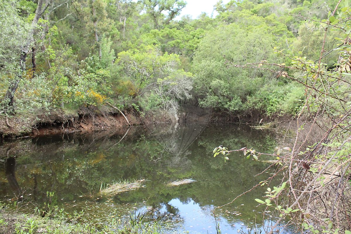 Moradia T3 à venda em Santana da Serra, Ourique — foto 23
