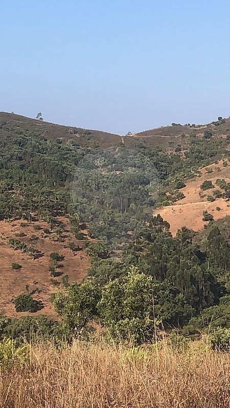 Moradia T3 à venda em Santana da Serra, Ourique — foto 30