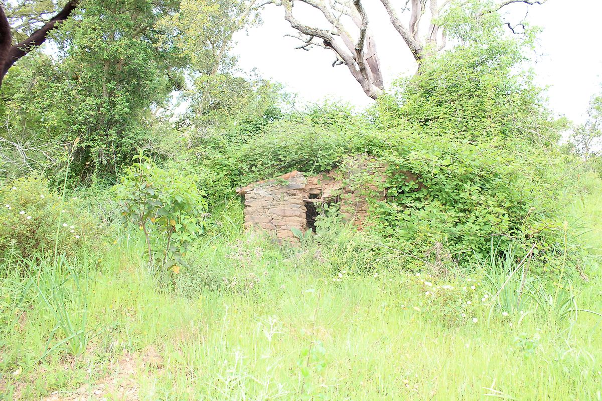 Moradia T3 à venda em Santana da Serra, Ourique — foto 19