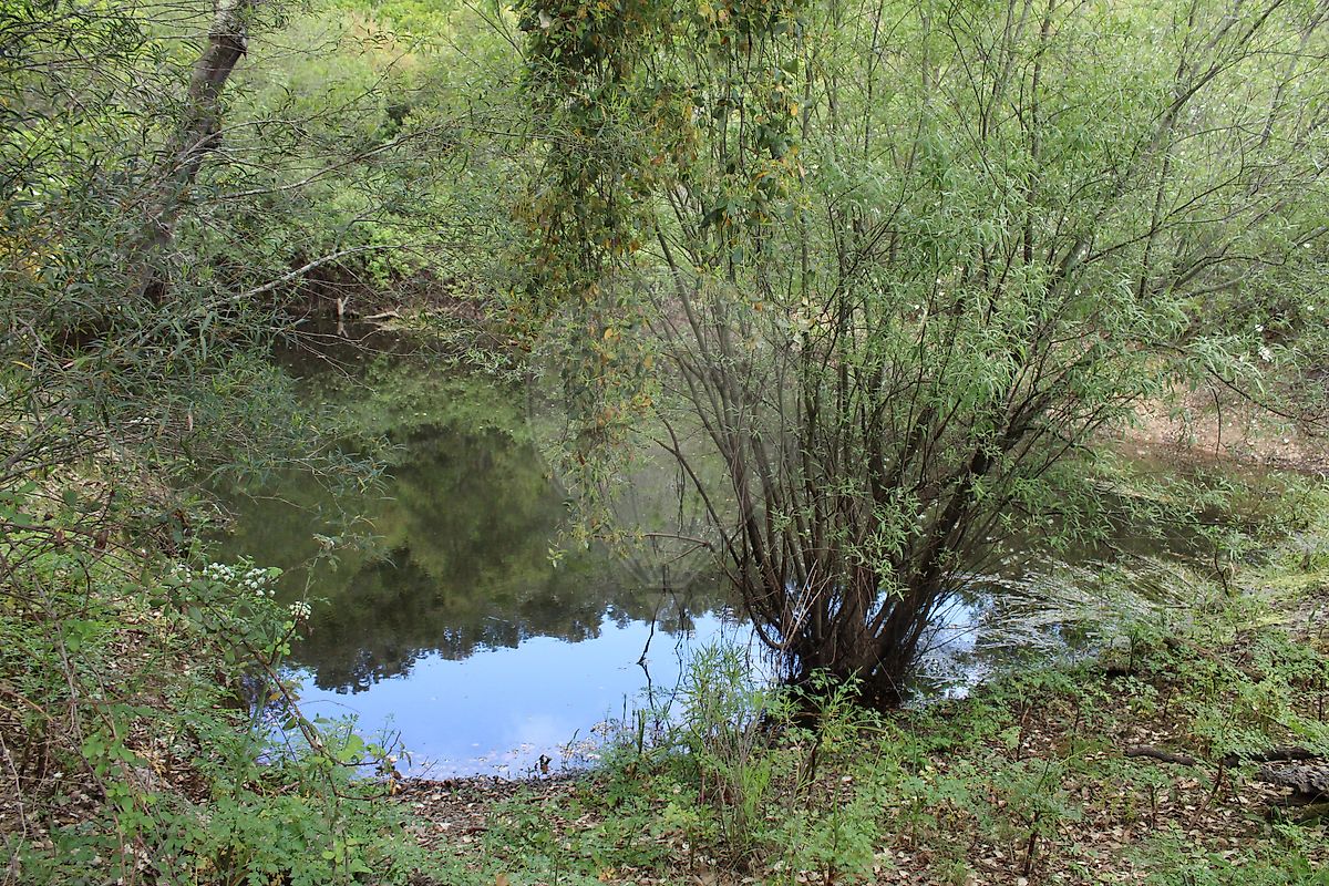 Moradia T3 à venda em Santana da Serra, Ourique — foto 22