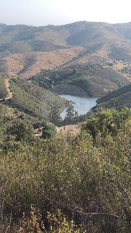 Moradia T3 à venda em Santana da Serra, Ourique — foto 29