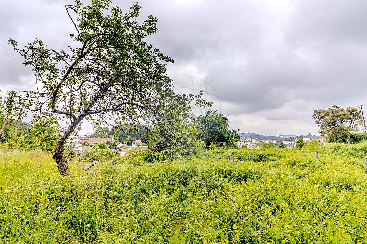 Moradia T2 à venda em Carregosa, Oliveira de Azeméis — foto 12