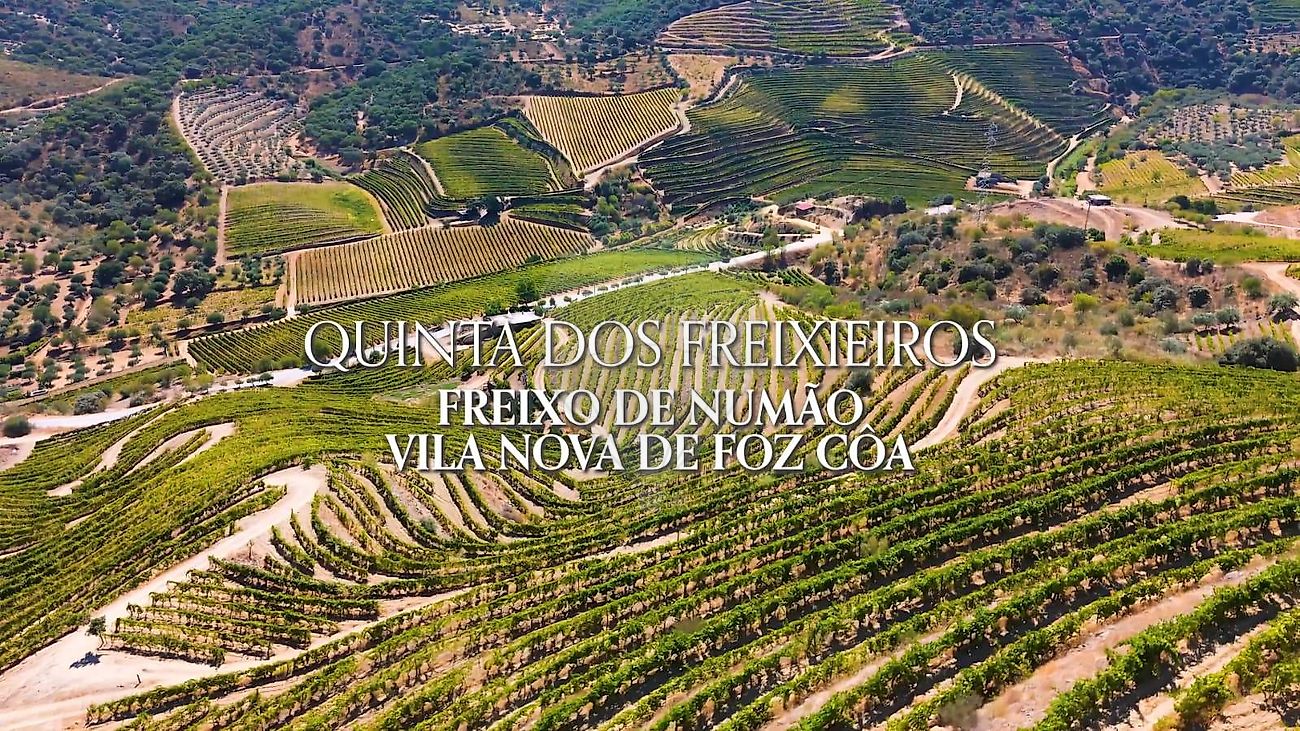 Terreno - Freixo de Numão, Vila Nova de Foz Côa, Guarda