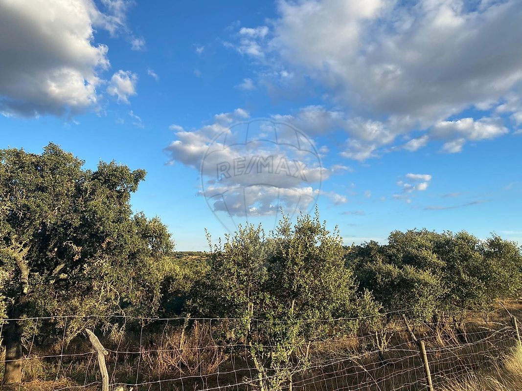 Terreno - São Manços e São Vicente do Pigeiro, Évora, Évora