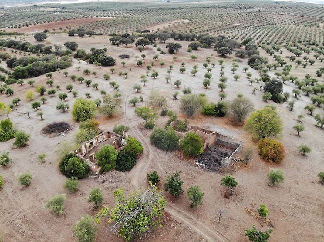 Terreno  para venda