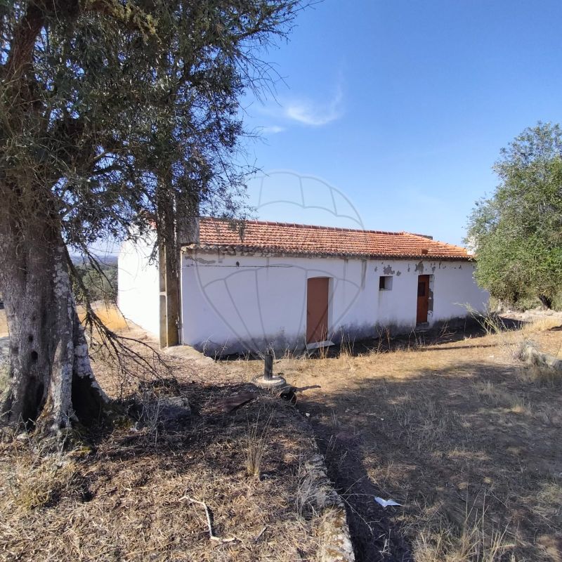 Quinta T3 para venda