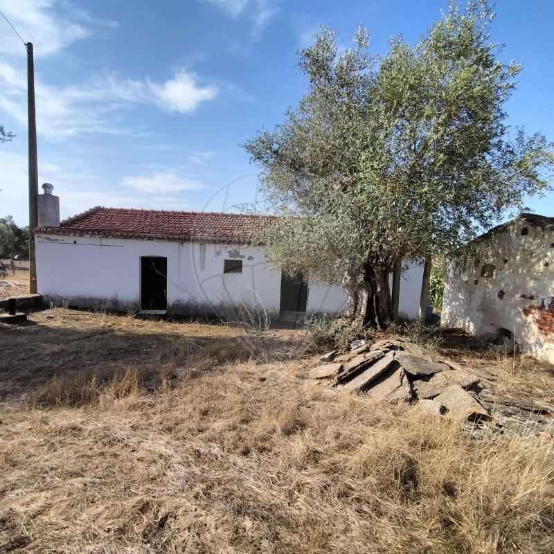 TODO