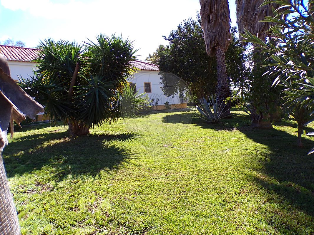 listing 124771128-10 picture-0
