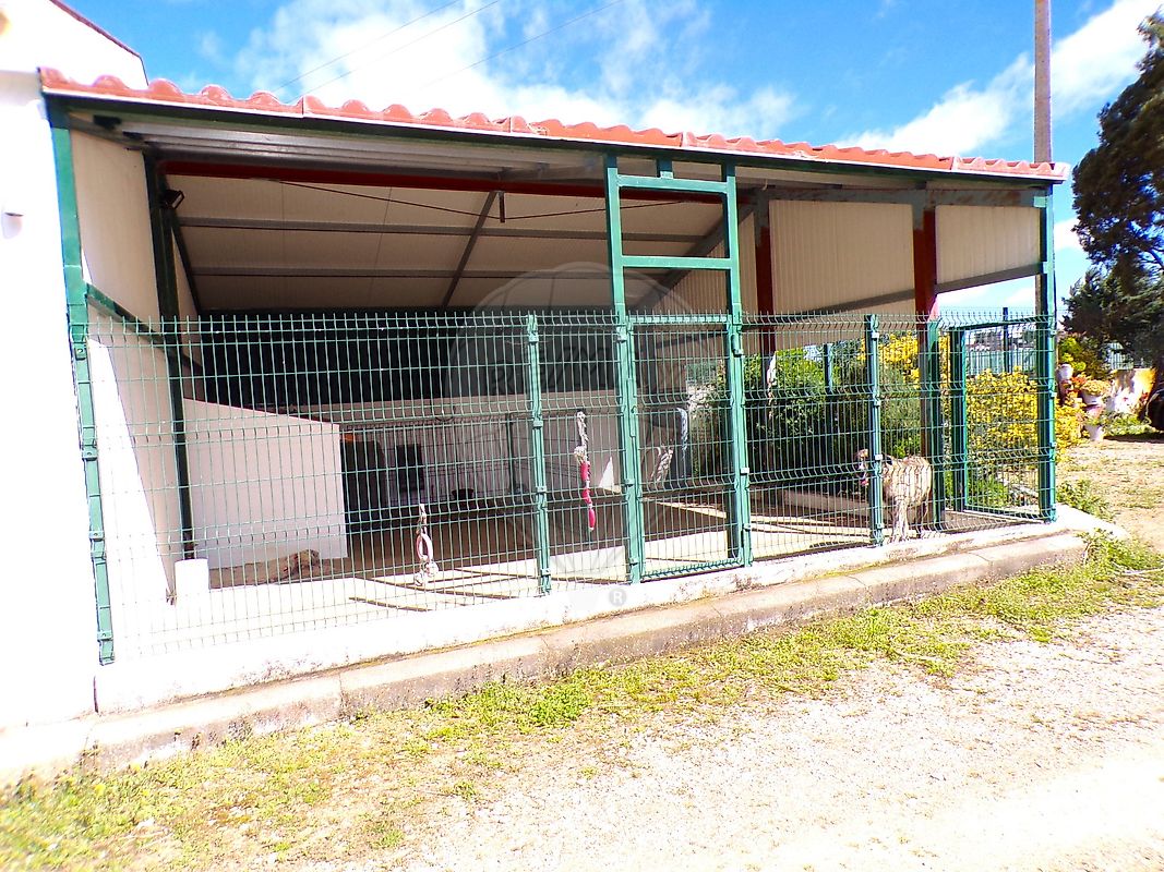 listing 124771128-10 picture-0