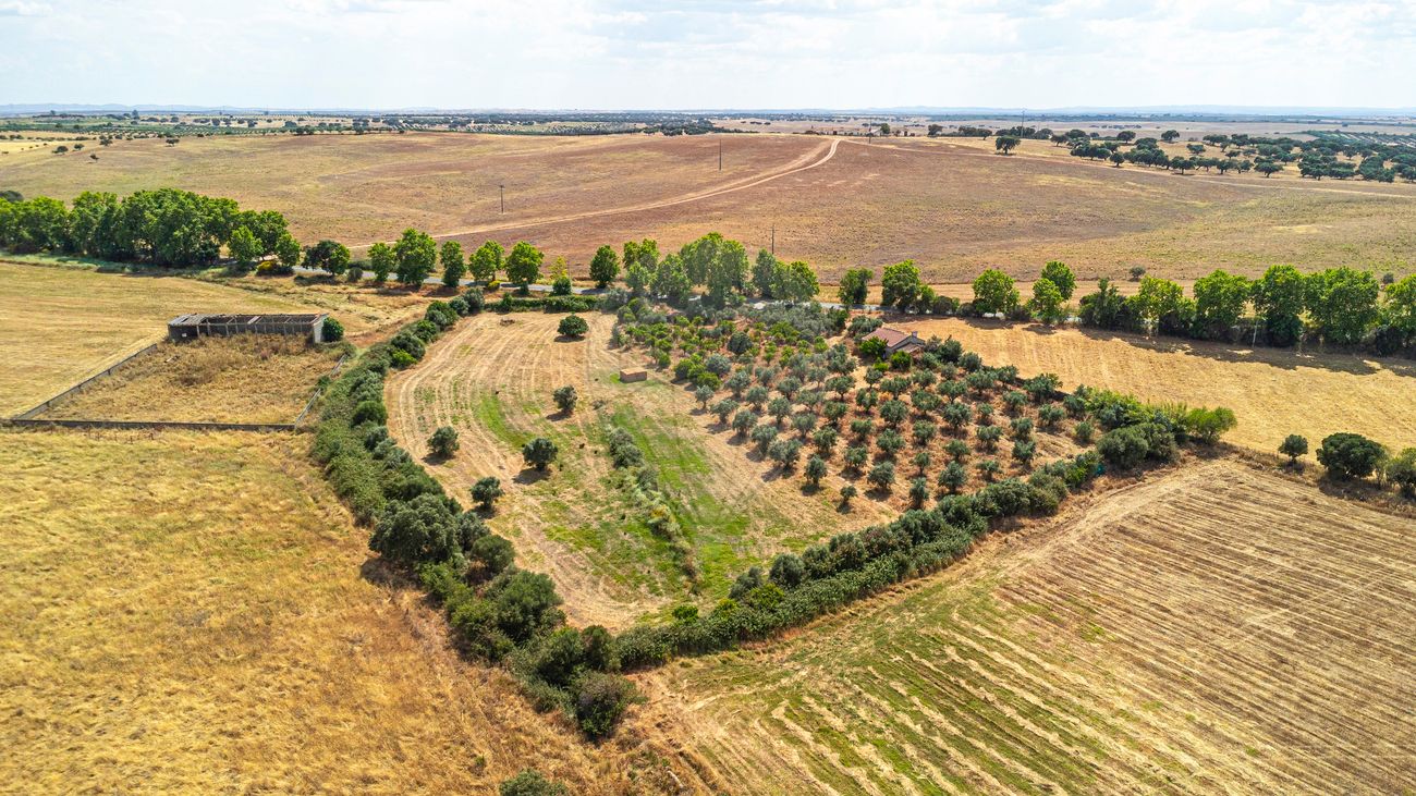 Terreno para venda