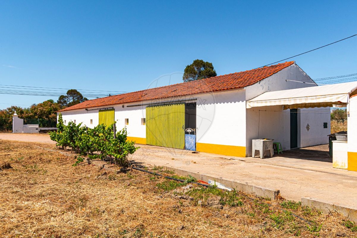 listing-picture-0