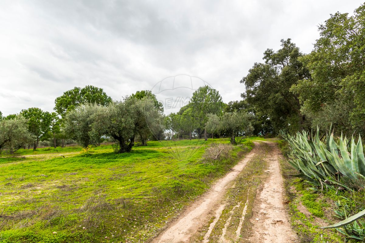 Terreno  para venda