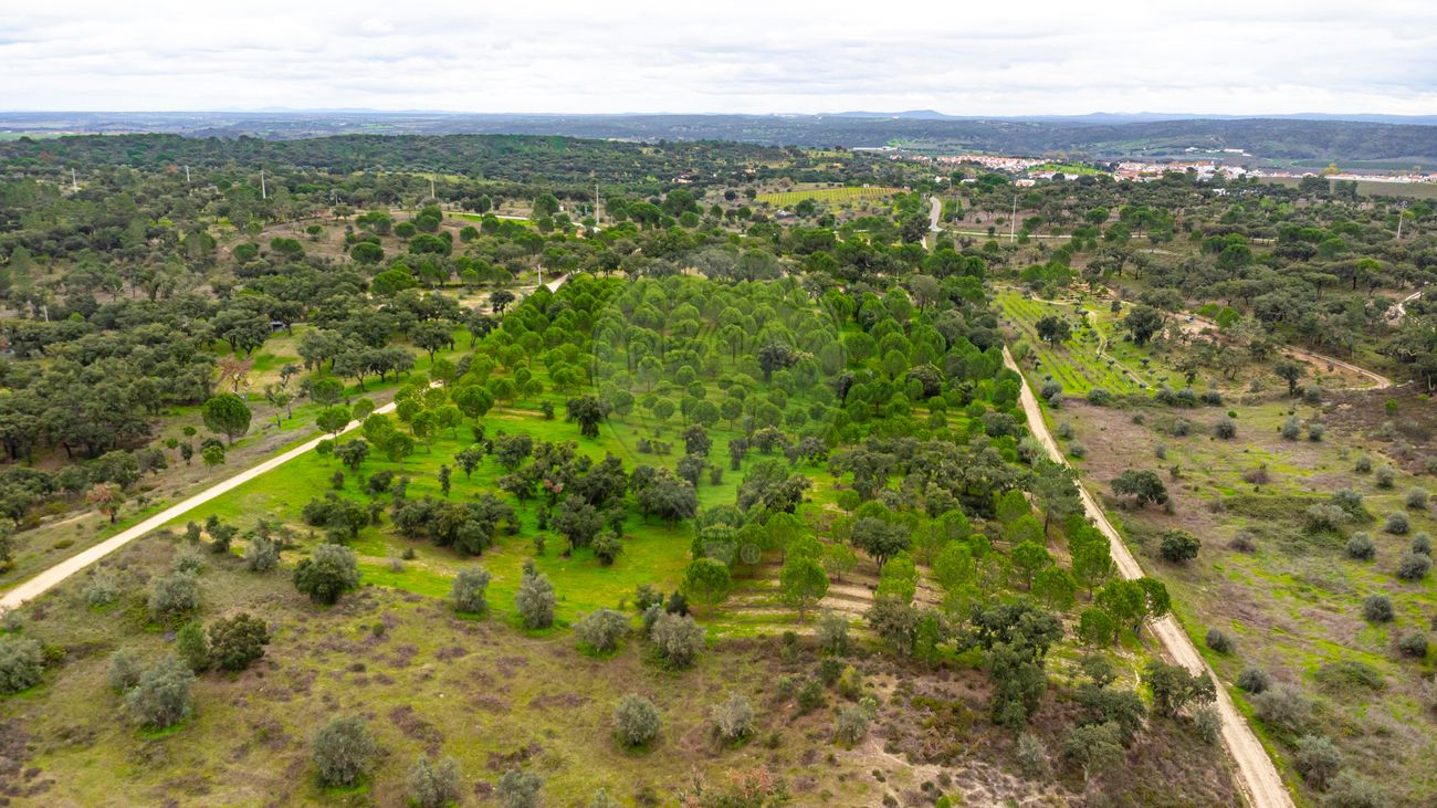 Terreno  para venda