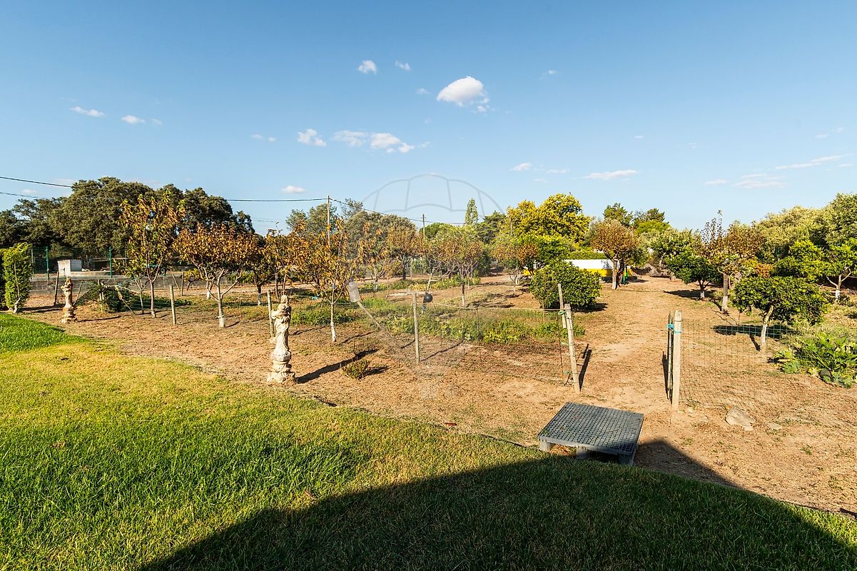 listing 124771142-8 picture-0