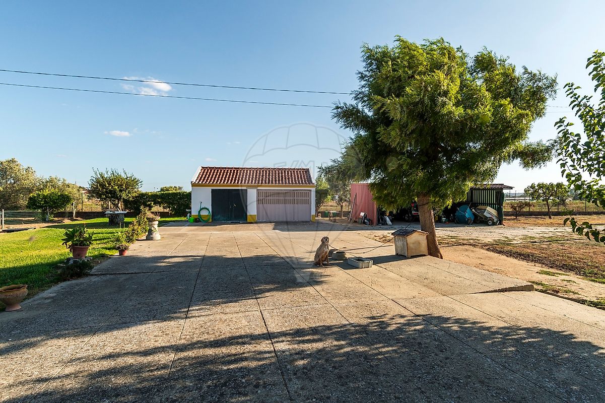 listing 124771142-8 picture-0