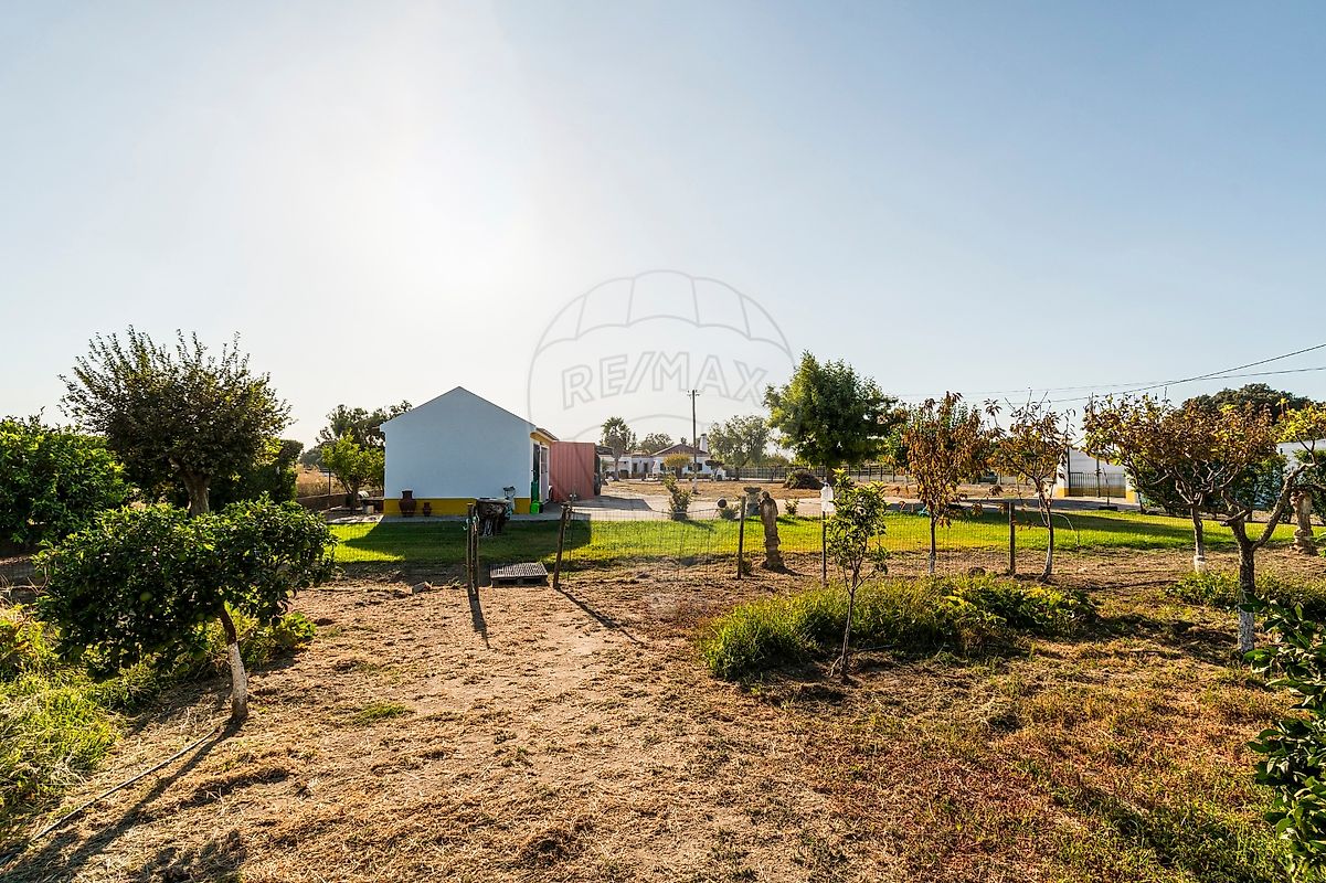 listing 124771142-8 picture-0