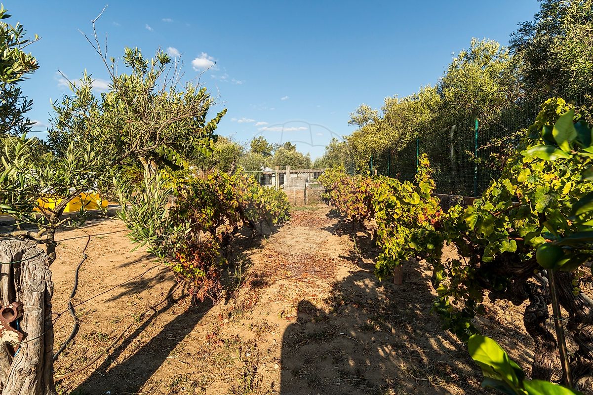 listing 124771142-8 picture-0