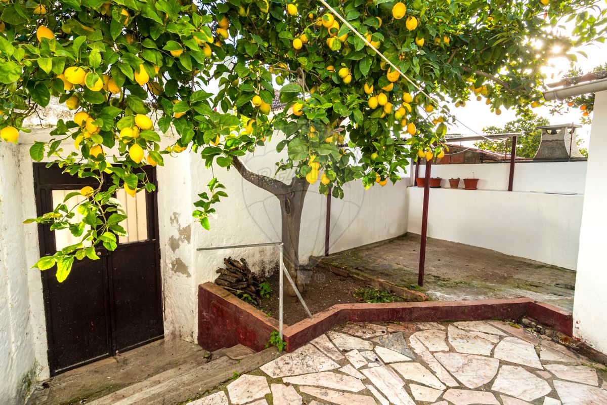 listing 124771124-21 picture-0