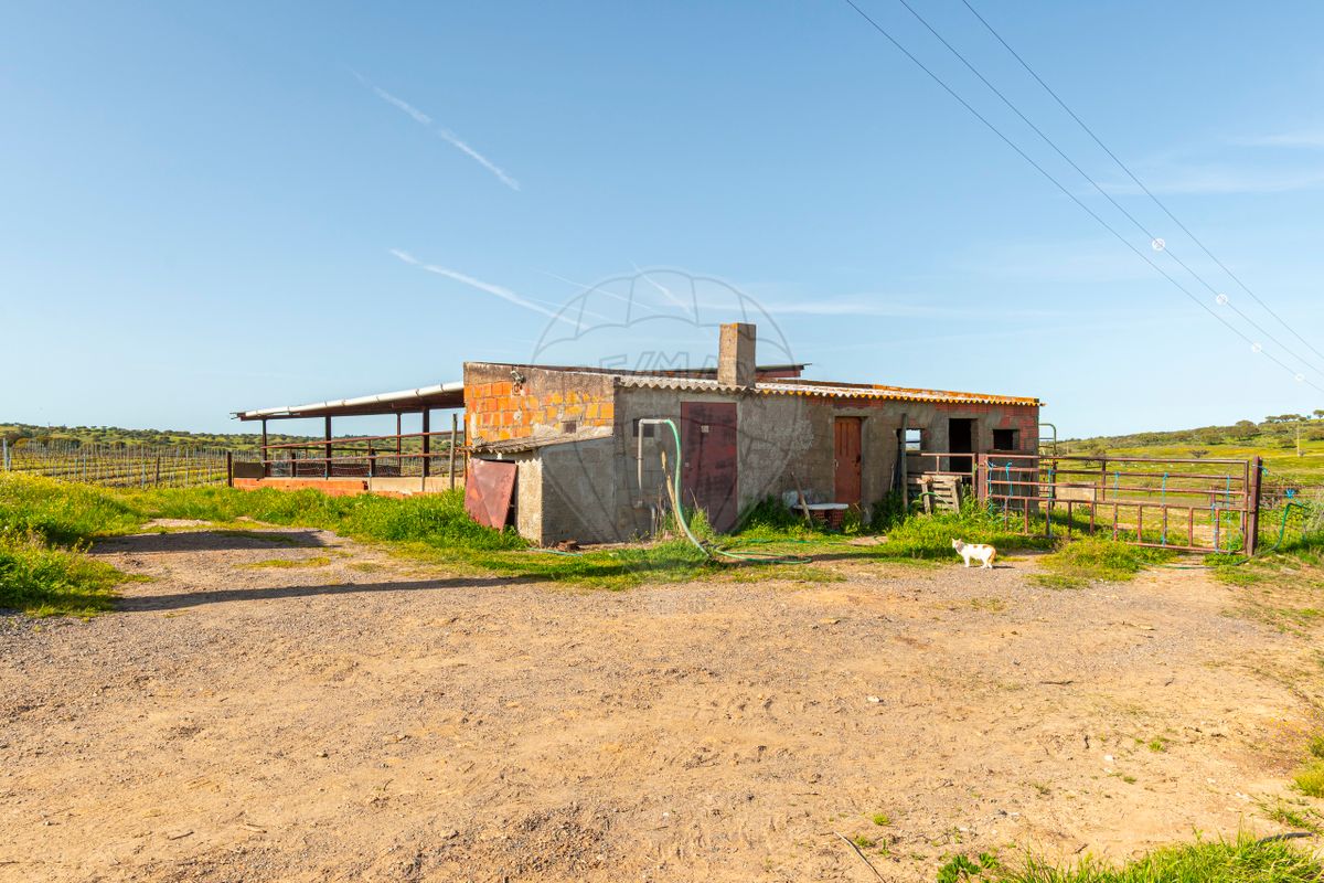 listing-picture-0