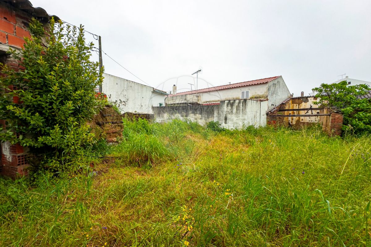listing 124771157-2 picture-0